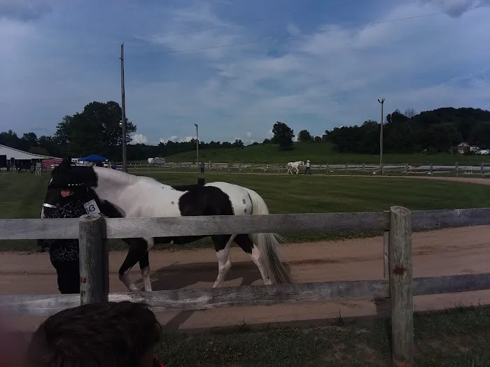 Marion County Fairgrounds RV Park Picture 2