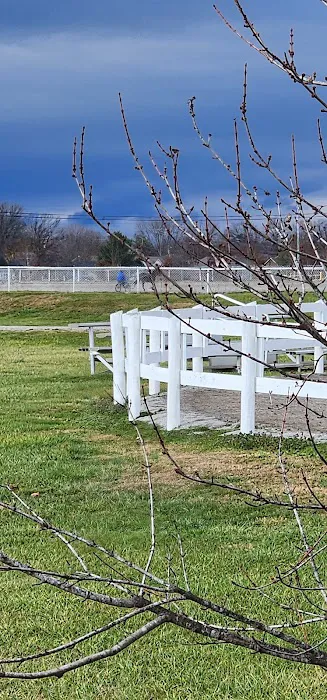 Marion County Fairgrounds RV Park Picture 4