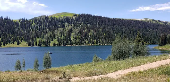 Gooseberry Reservoir Campground Picture 2