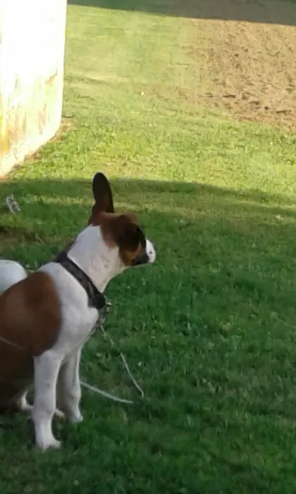 Leeward Mobile Home Park Picture 1