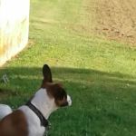 Leeward Mobile Home Park