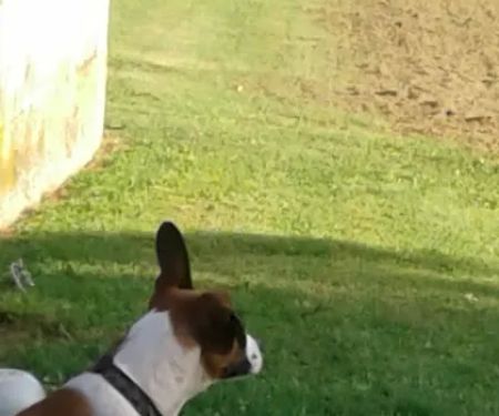 Leeward Mobile Home Park