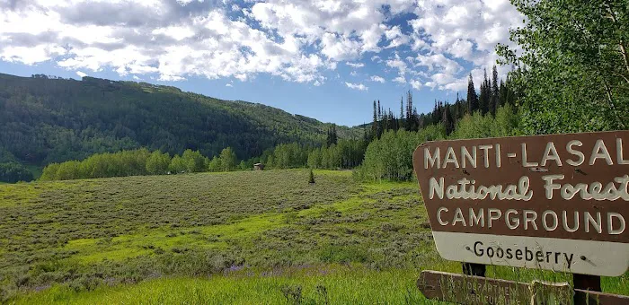 Gooseberry Campground Picture 6