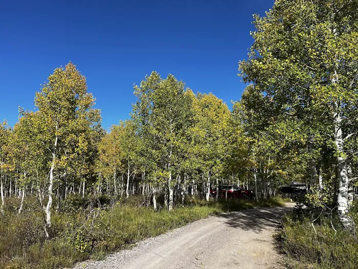 Gooseberry Campground Picture 4