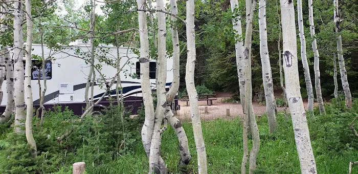 Gooseberry Campground Picture 9