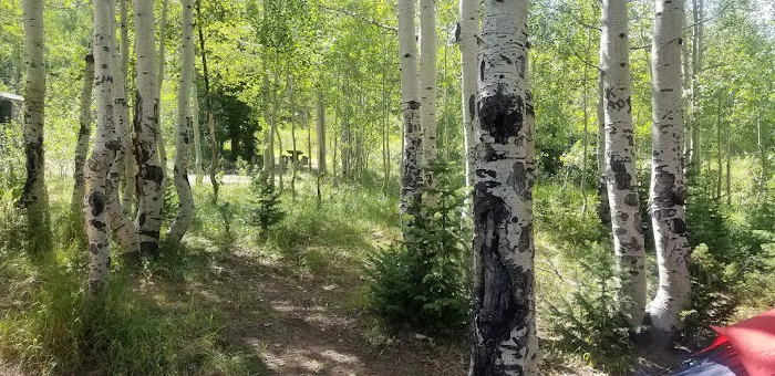 Gooseberry Campground Picture 8