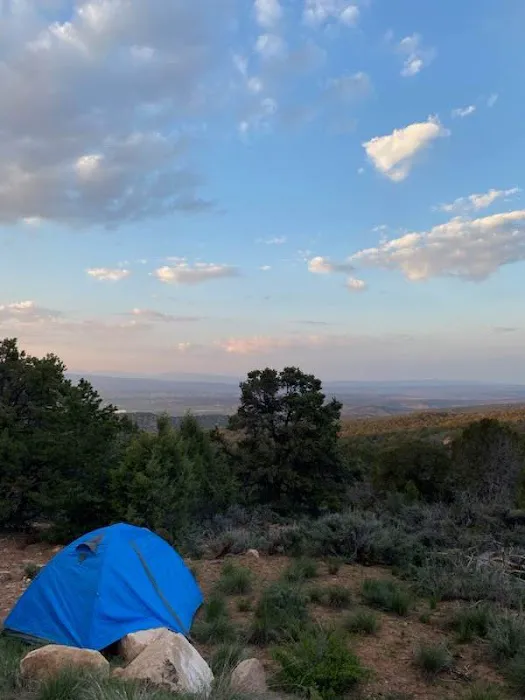 Ward Family Homestead Picture 1