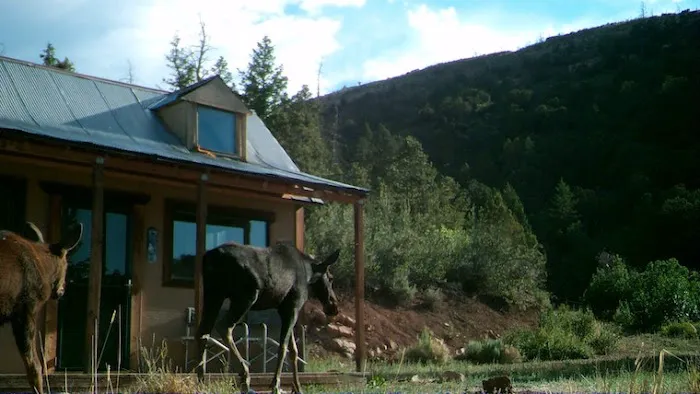 Ward Family Homestead Picture 7