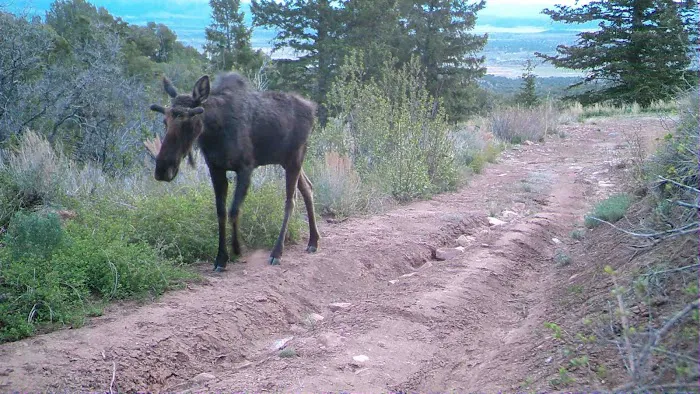 Ward Family Homestead Picture 4
