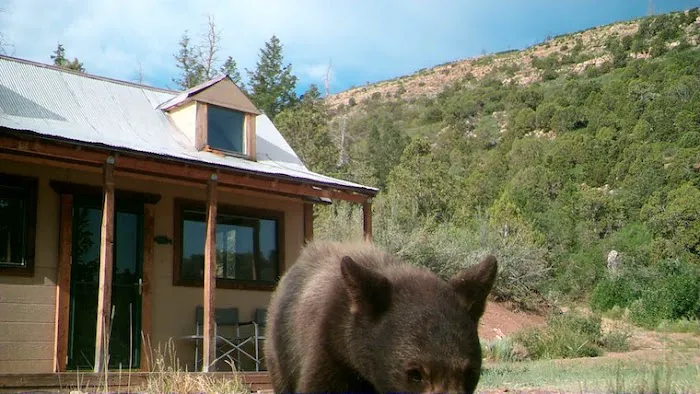 Ward Family Homestead Picture 6