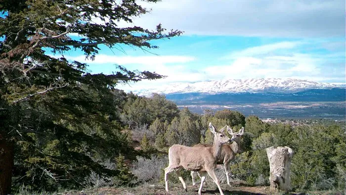 Ward Family Homestead Picture 2