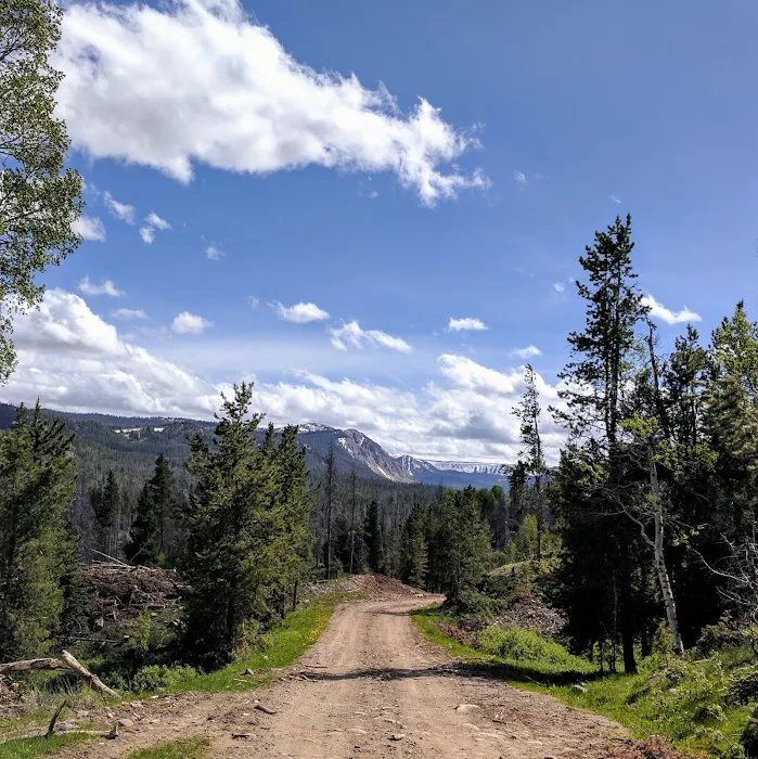 Little Lyman Lake Campground Picture 4