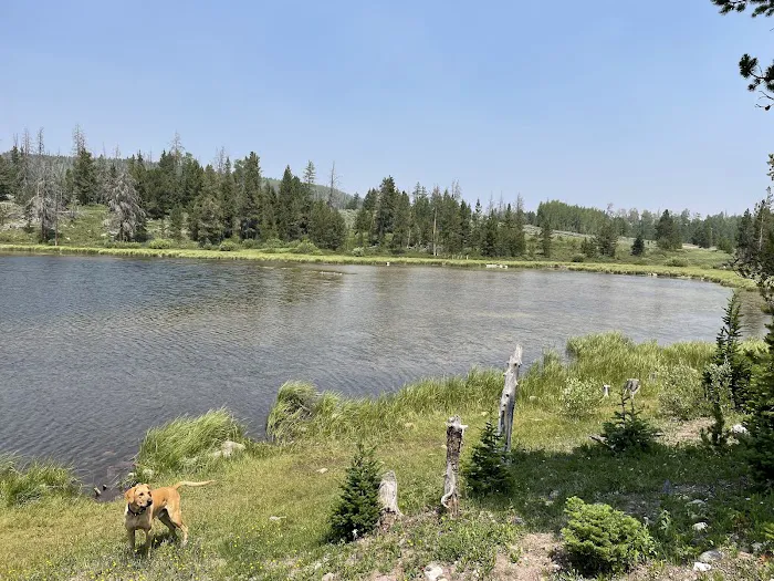 Little Lyman Lake Campground Picture 7