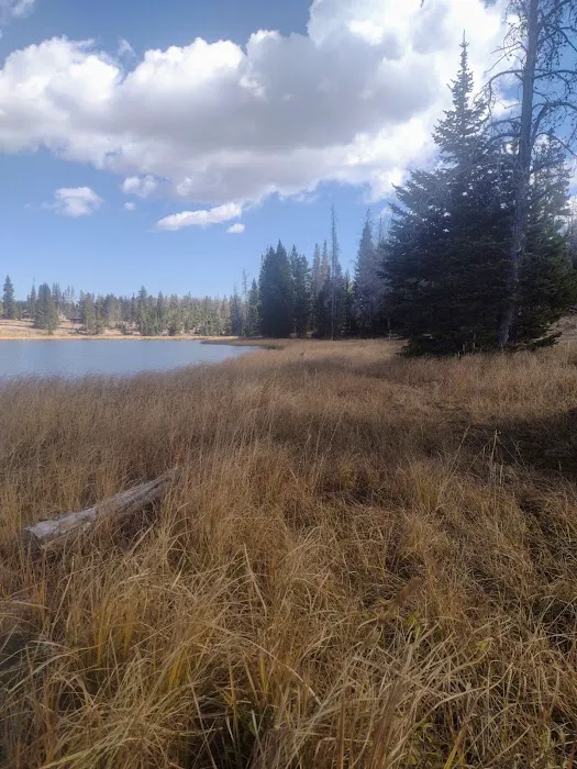 Little Lyman Lake Campground Picture 1