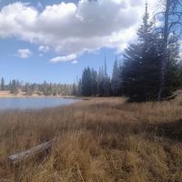Little Lyman Lake Campground ico