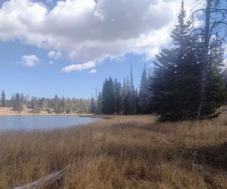 Little Lyman Lake Campground