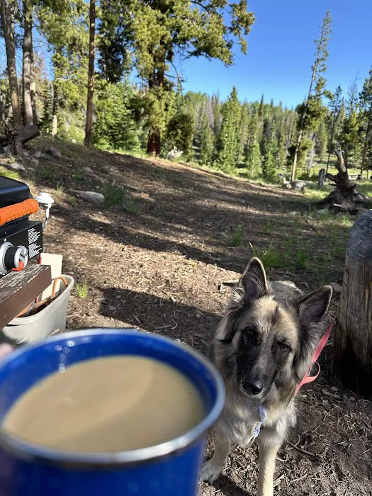 Little Lyman Lake Campground Picture 6
