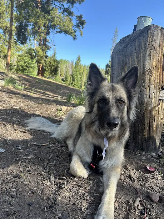 Little Lyman Lake Campground Picture 3