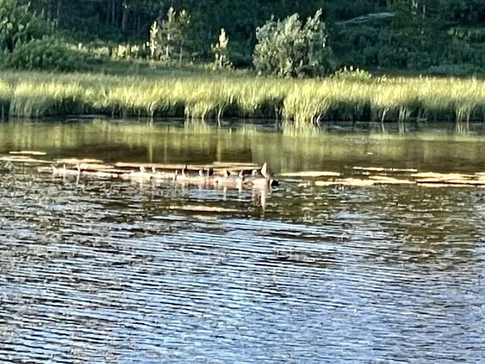 Little Lyman Lake Campground Picture 8