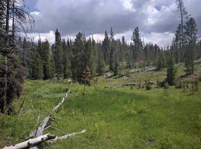 Lyman Lake Recreation Camp Picture 7