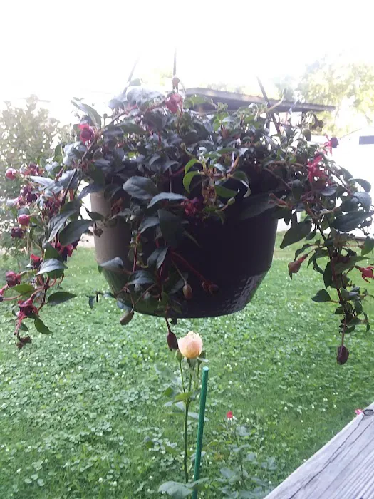 Country Livin Estates Picture 2