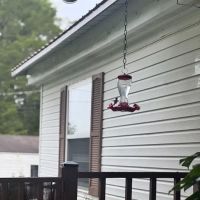 Country Livin Estates ico