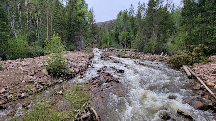 Moon Lake Group Campground Picture 6