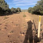 Earth Community Garden Campsite Dry Mountain Trail
