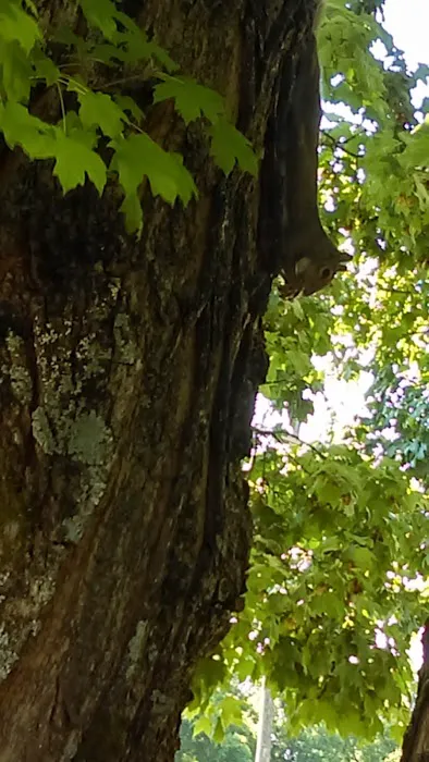 Madison Trailer Park Picture 2