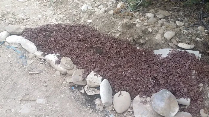 wRight wRanch Picture 6