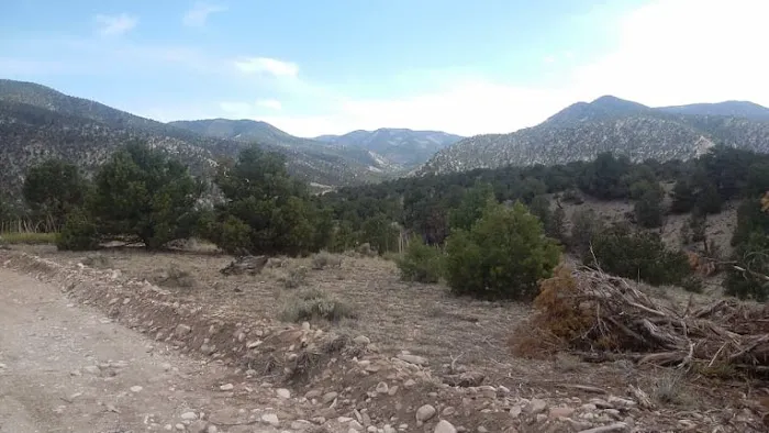 wRight wRanch Picture 2