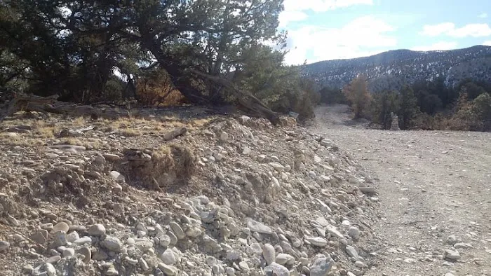 wRight wRanch Picture 4