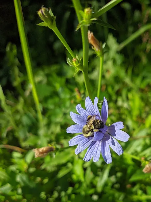 Hillview Acres Mobile Home Pk Picture 4