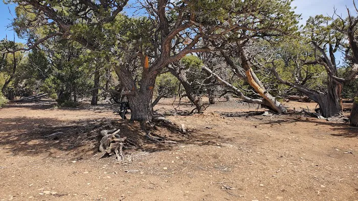 SKS Ranch Picture 10