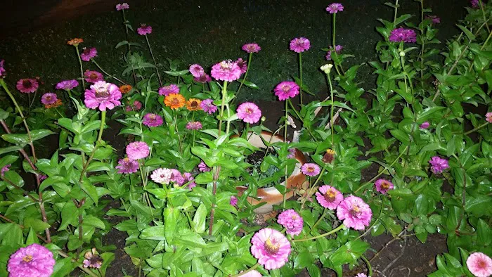 Club House Picture 6