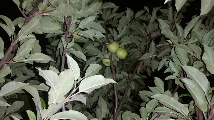 Club House Picture 3