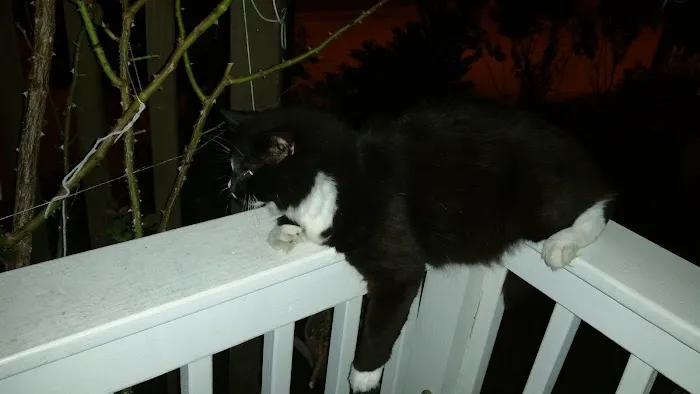 Club House Picture 2