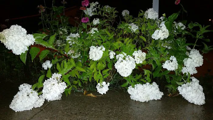 Club House Picture 5