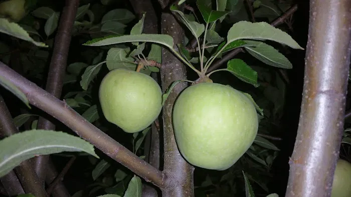 Club House Picture 4