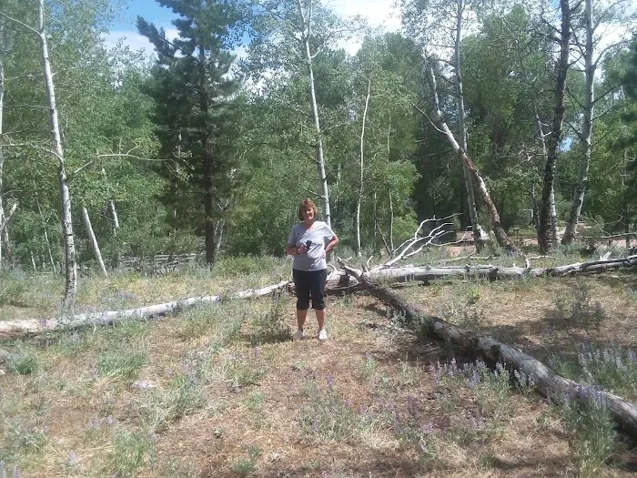 Yellowstone Campground Picture 2