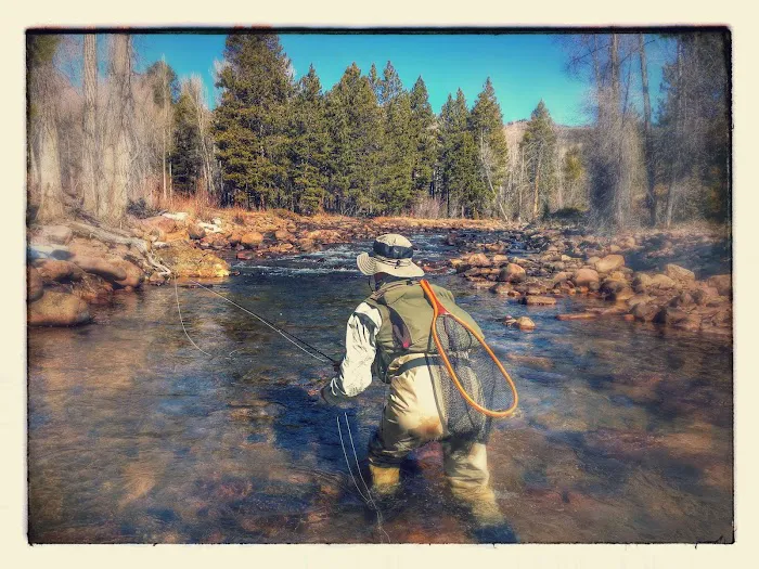 Yellowstone Campground Picture 7