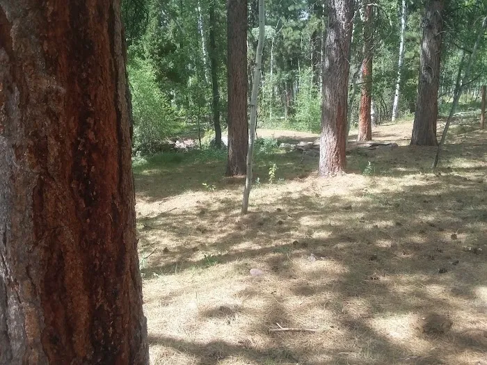 Yellowstone Campground Picture 1