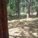 Yellowstone Campground