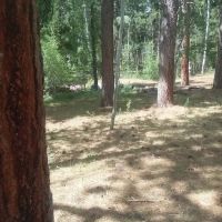 Yellowstone Campground ico