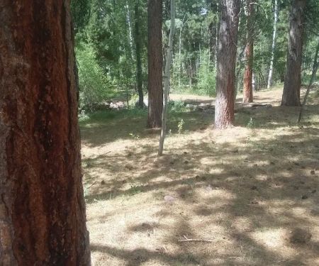 Yellowstone Campground