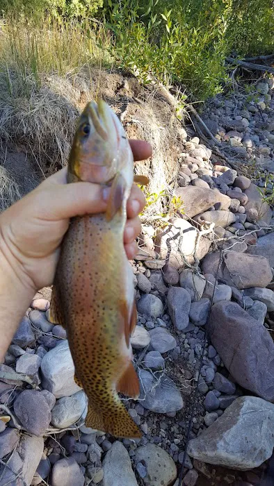 Yellowstone Campground Picture 8