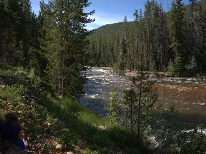 Swift Creek Campground Picture 9