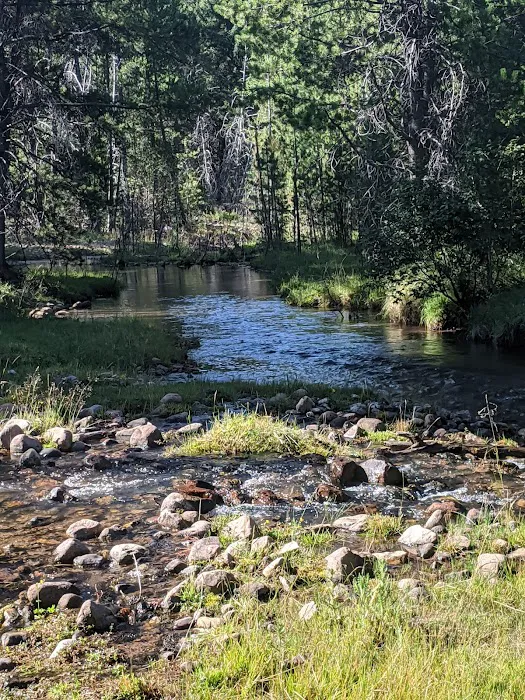 Swift Creek Campground Picture 5