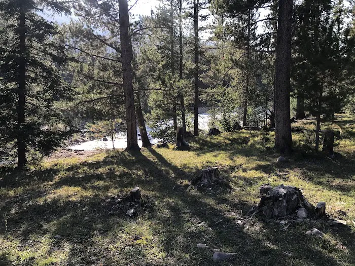 Swift Creek Campground Picture 7