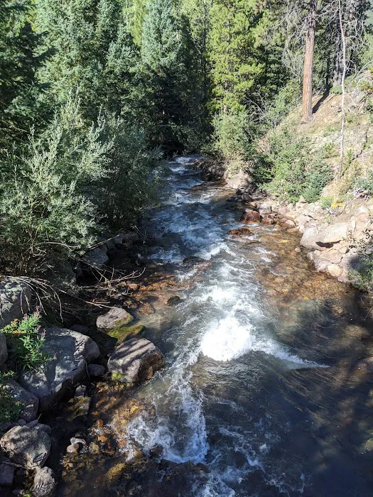 Swift Creek Campground Picture 6